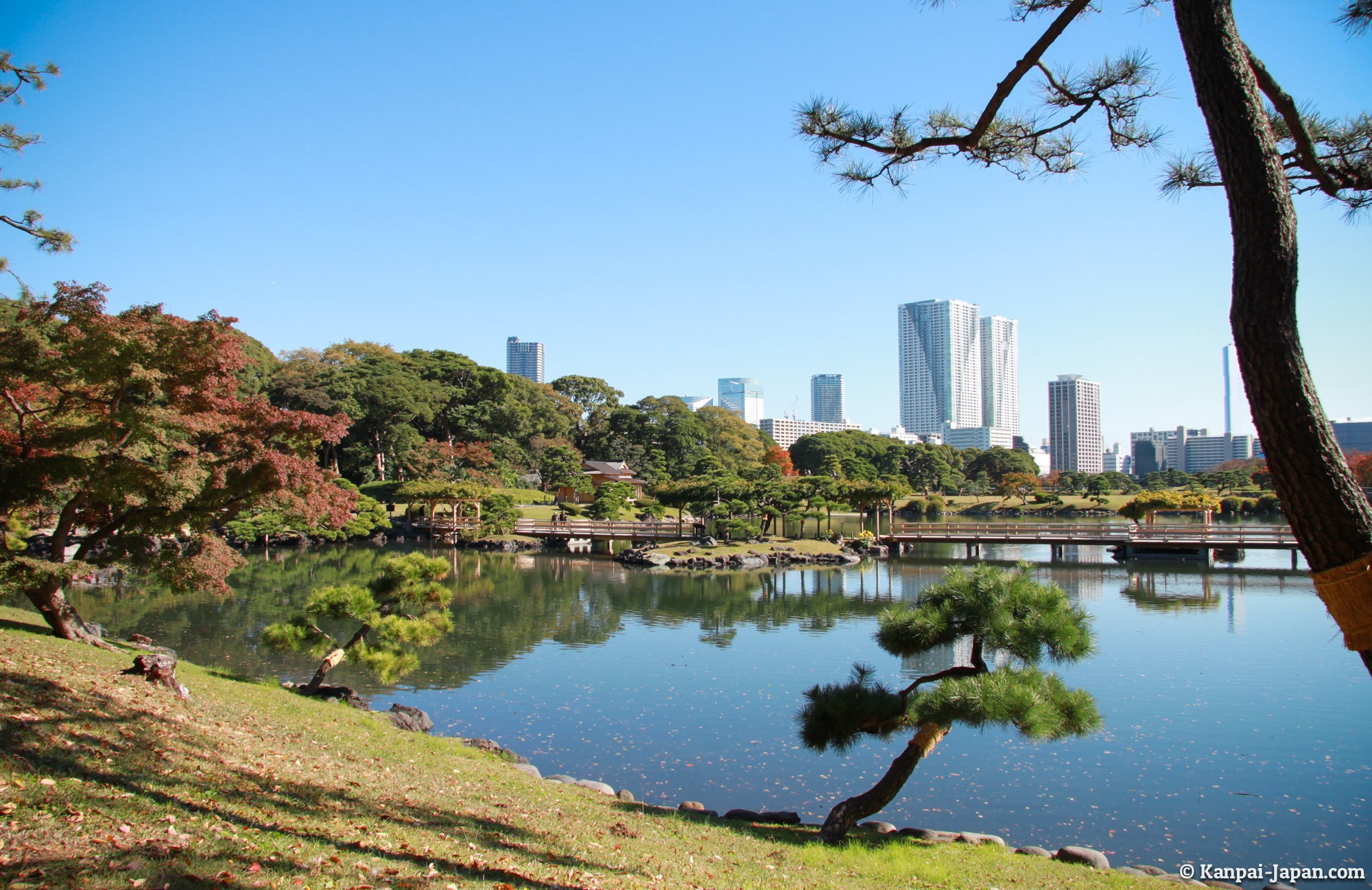 浜離宮恩賜庭園の完全攻略2026！見どころ・抹茶・水上バス徹底解説