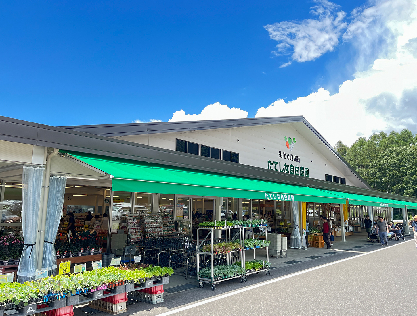 たてしな自由農園原村店完全ガイド！限定野菜とカフェ攻略の全真相