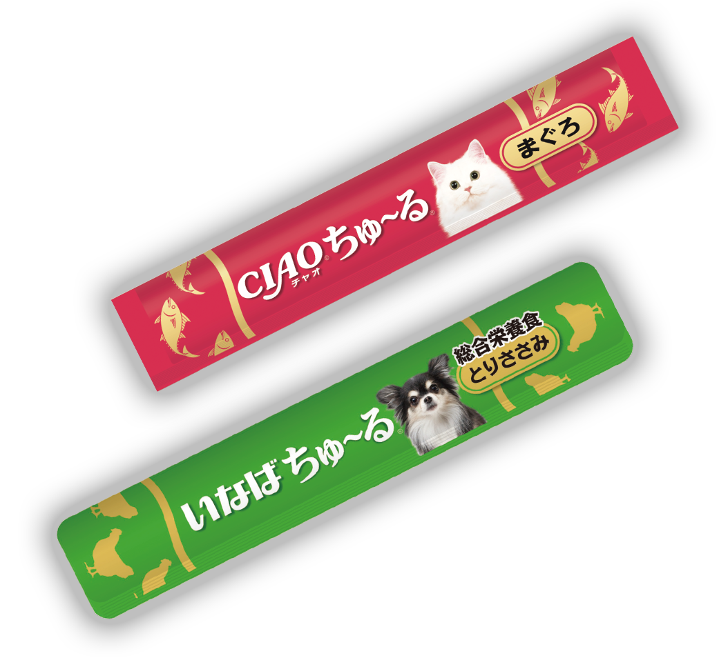 ちゅ〜るに狂喜する猫の真相！腎臓への噂と安全な与え方を徹底検証