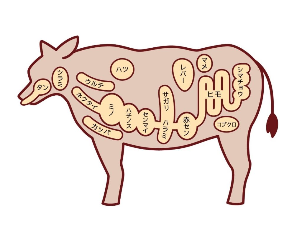 焼肉の定番「ミノ」は牛のどこの部位？食感の秘密や上ミノとの違いを徹底解説