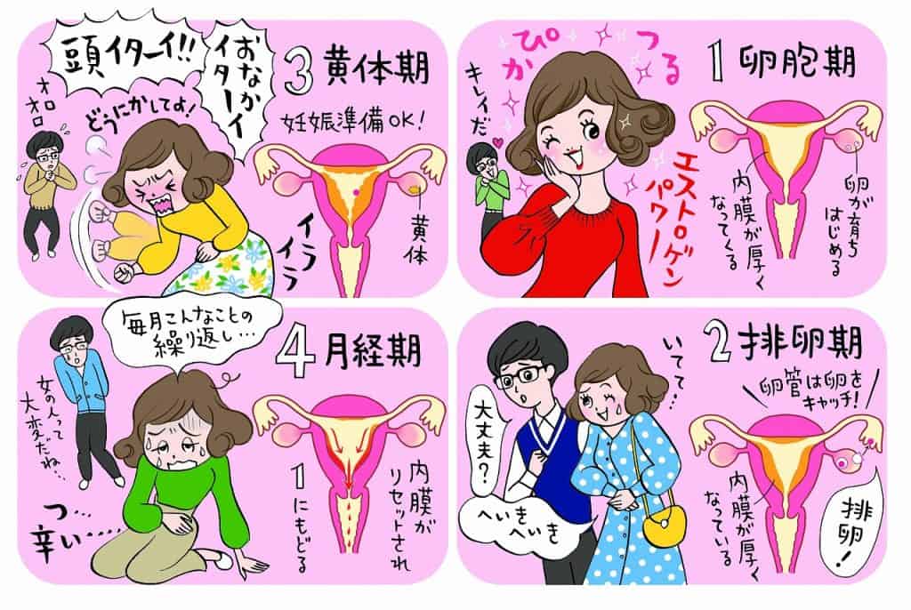 生理中のレバー状の塊は病気のサイン？原因と危険な大きさの受診目安