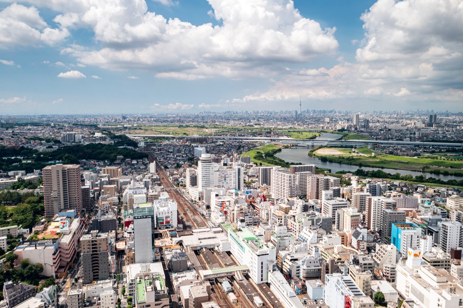 松戸市立博物館の知られざる魅力！団地再現と2026年最新動向