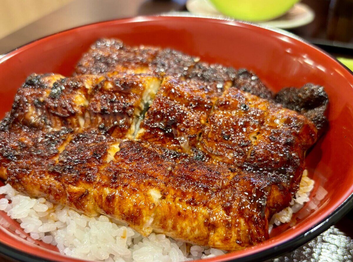 浜松うなぎ名店2026！東西の焼き方比較と地元民が推す穴場を徹底解剖
