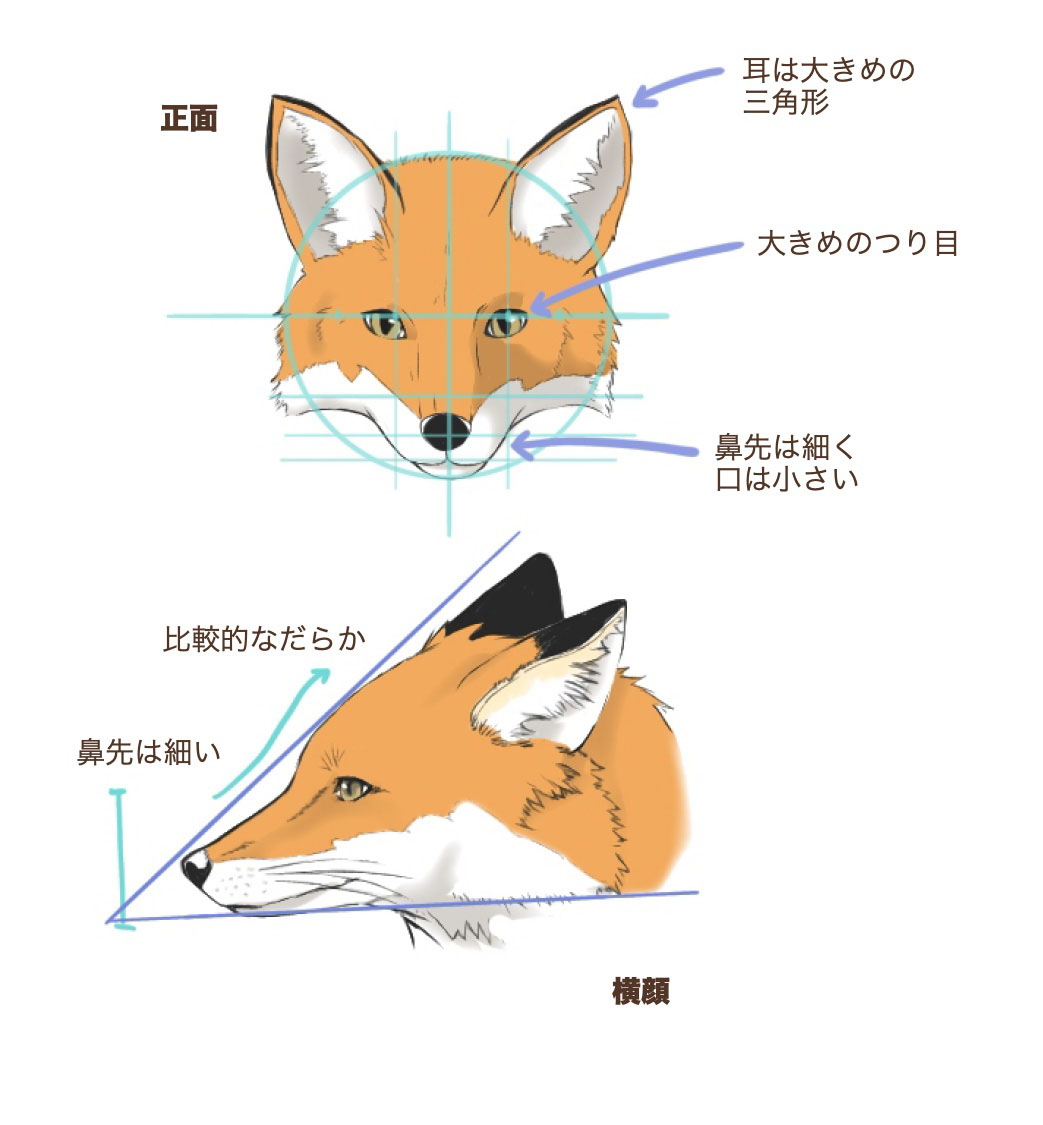 三井デザインテックは高すぎる？口コミの真相と後悔しないリフォーム術