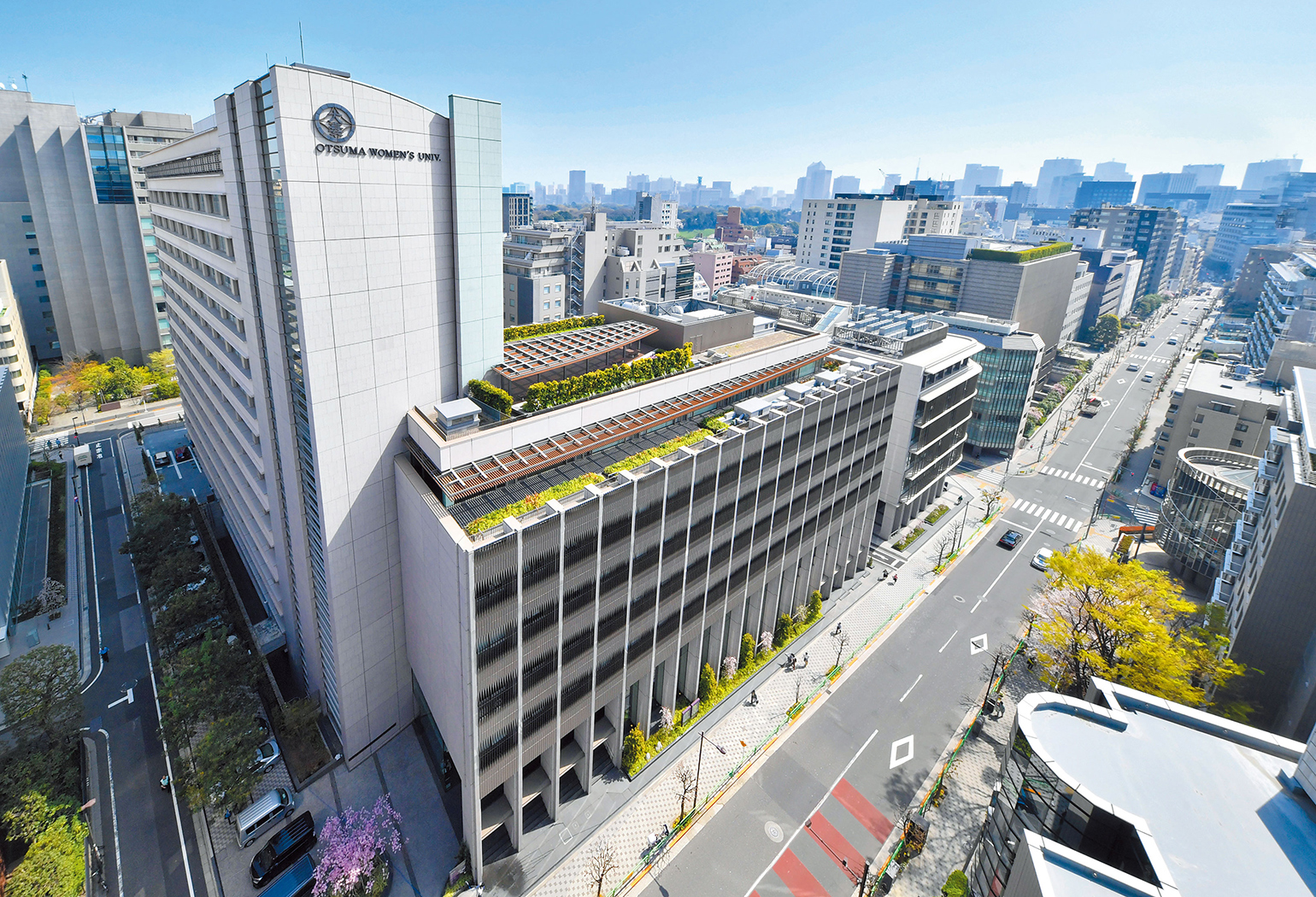 聖心女子大学の偏差値と難易度推移｜名門お嬢様大の現在地