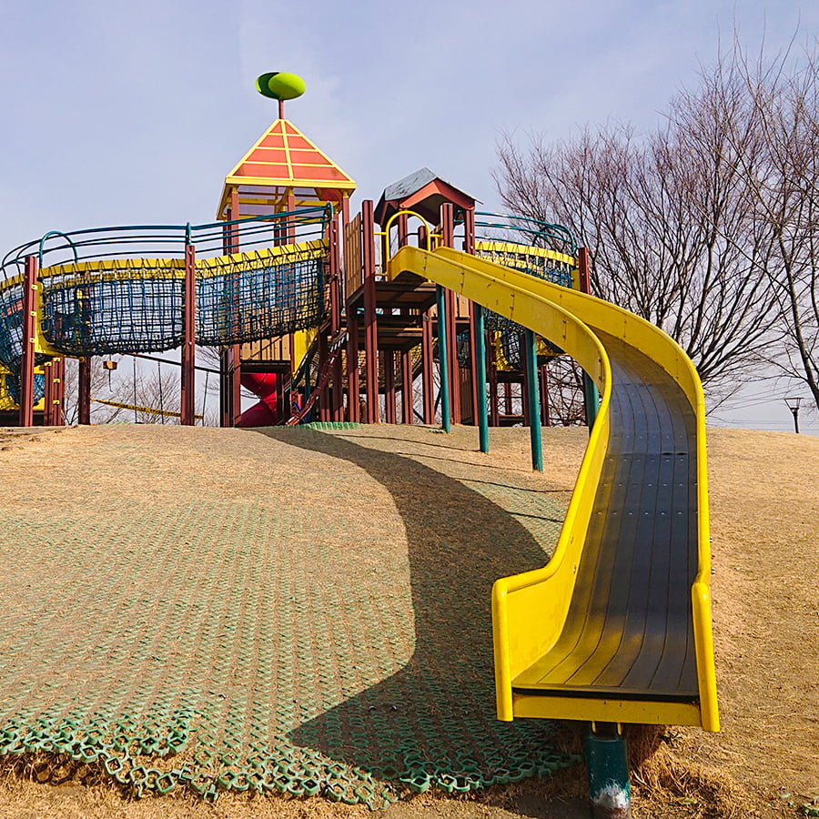 玉村町北部公園が家族連れを魅了する理由！バラ園・水遊びの真相