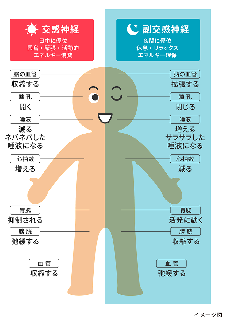 寝ても取れない疲れは病気？見逃せない危険信号と診療科の選び方