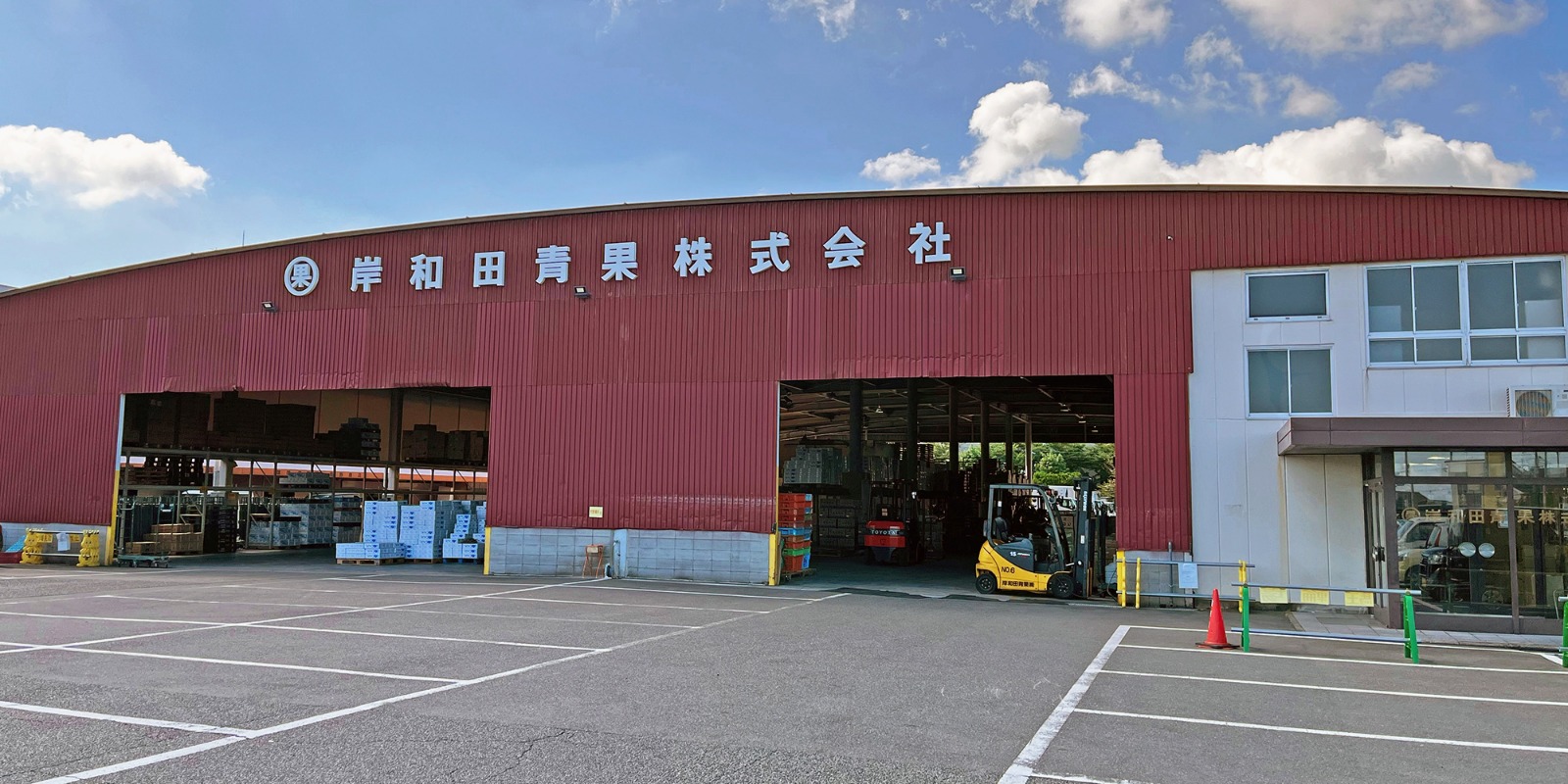 岸和田青果市場は一般開放中？土曜朝市の買い方と営業時間の最新全貌