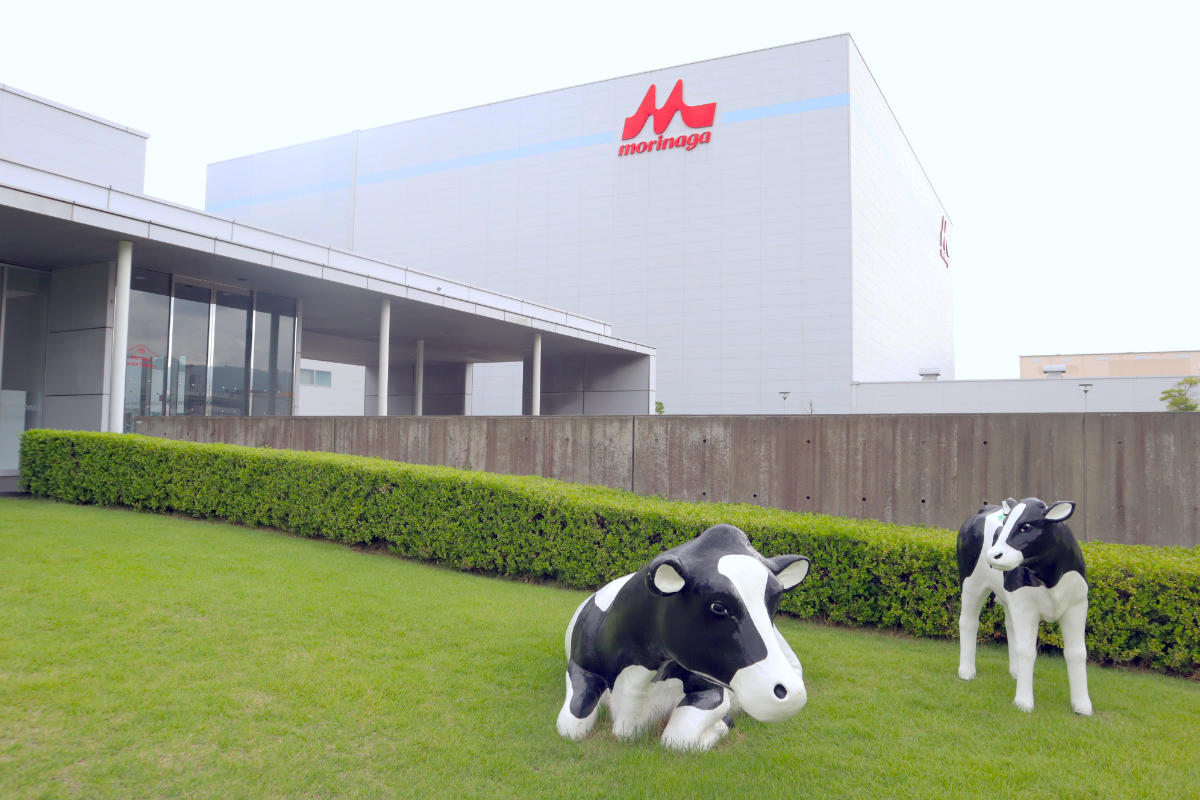 森永乳業神戸工場見学の予約法と直売の真相！摩耶埠頭の現場を徹底取材
