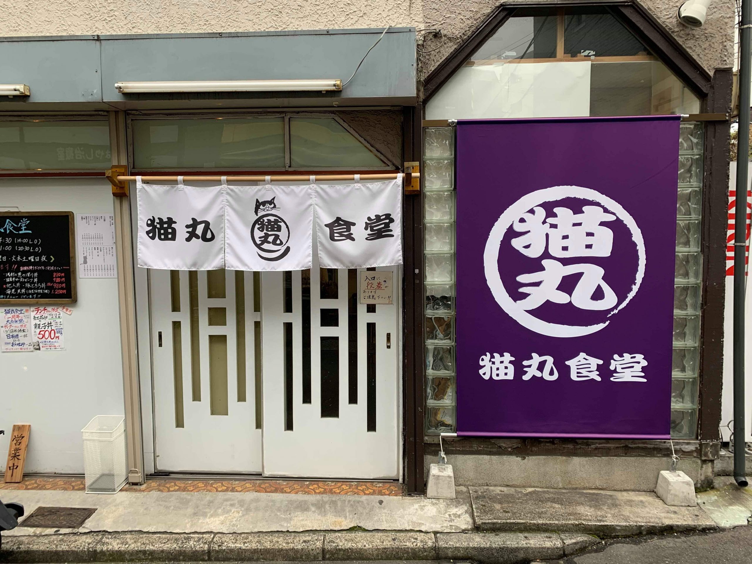 猫丸食堂が今選ばれる理由とは？看板メニューと混雑の真相に迫る