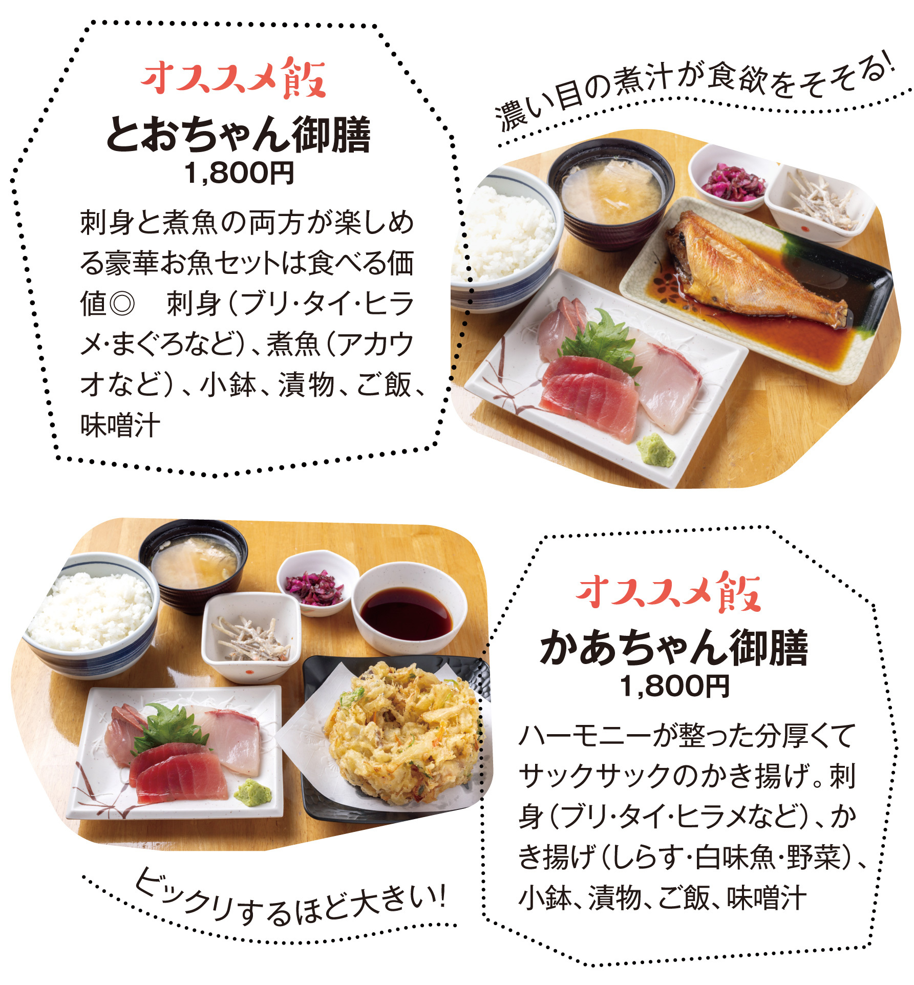 大洗かあちゃんの店の行列理由を解剖！人気メニューと整理券攻略