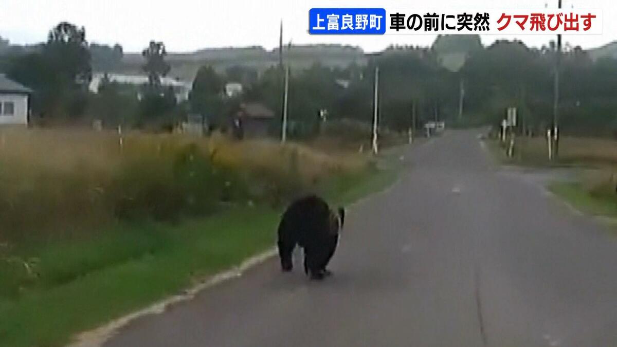 富良野の熊出没マップと目撃情報！観光やスキー場周辺の安全対策まとめ