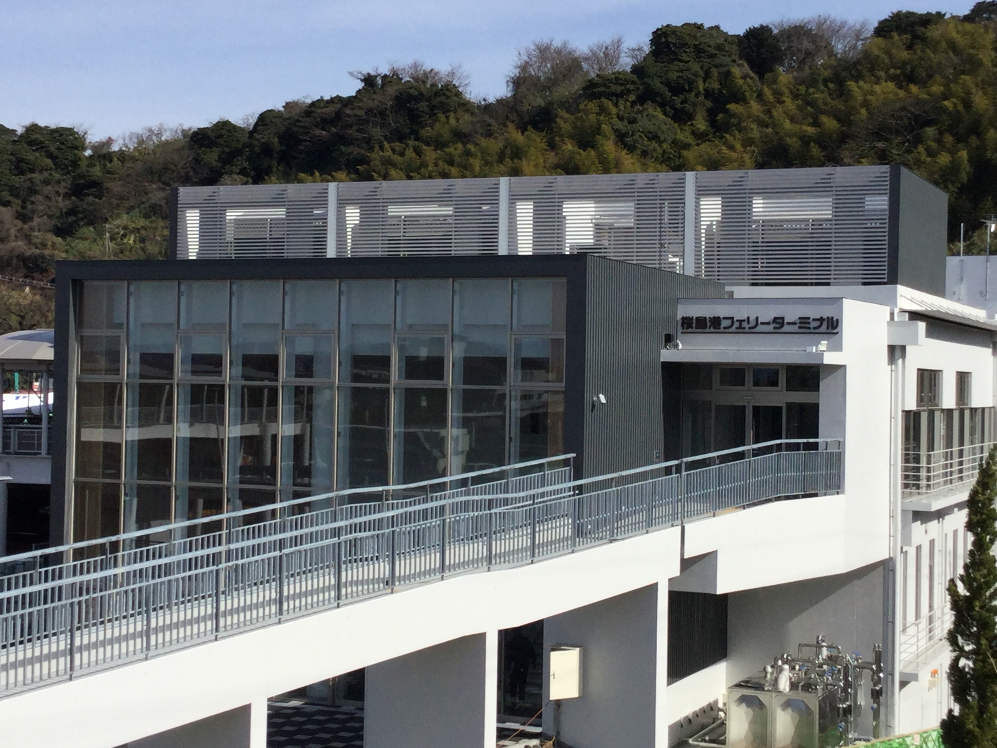 鹿児島港桜島フェリーターミナル攻略法！2026最新の乗船手順と注意点