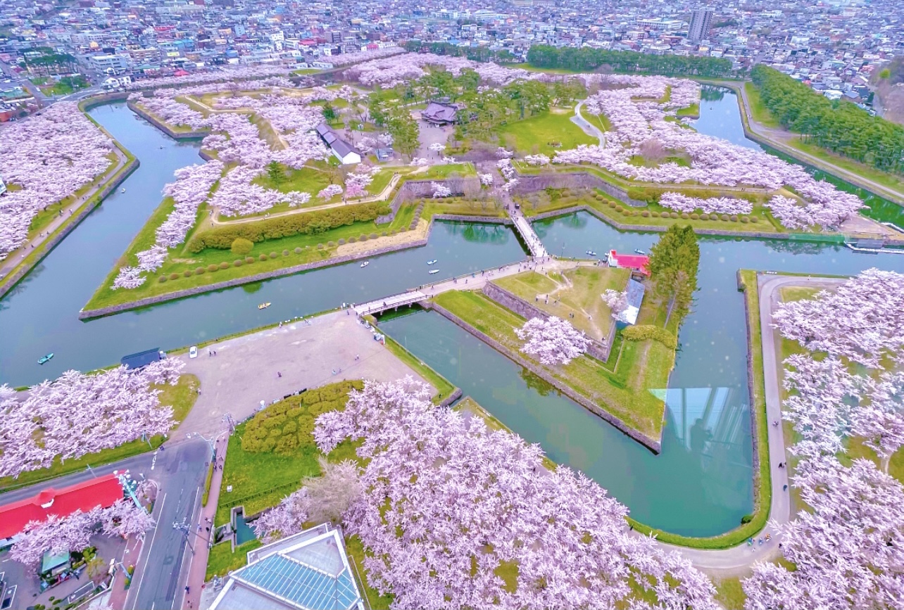 北海道の有名な場所決定版！王道から穴場まで2026年最新観光地ガイド