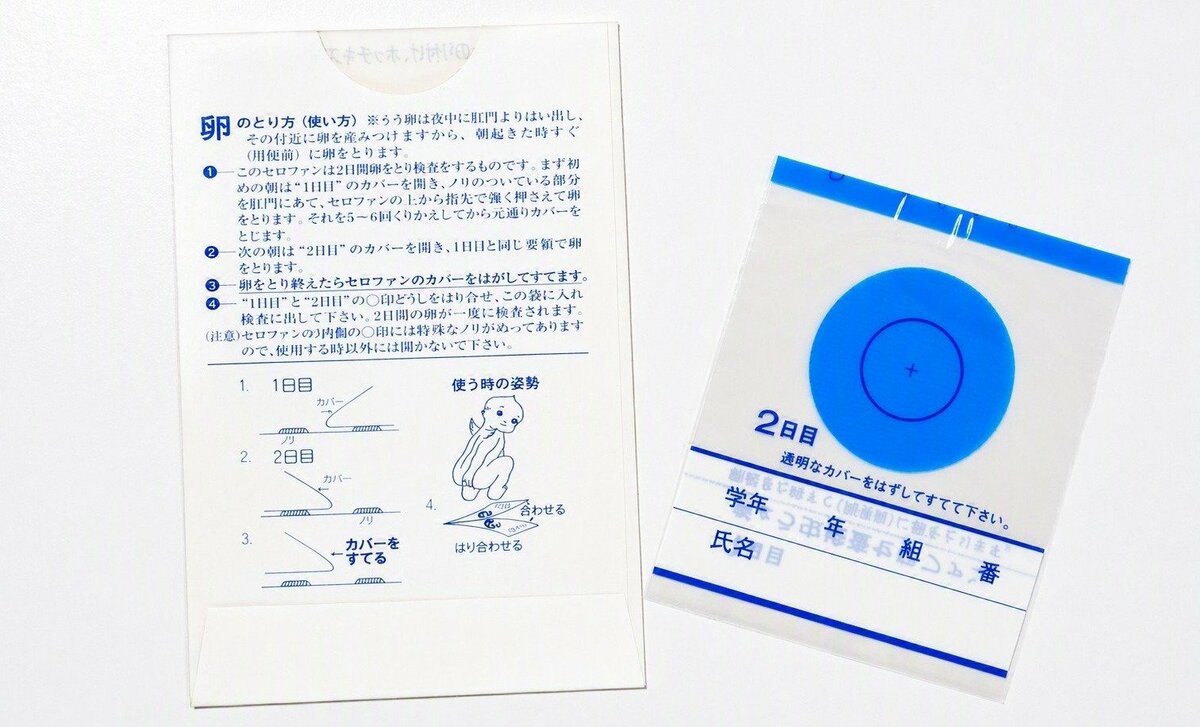 ギョウ虫検査はなぜ廃止？決定的な理由と大人の感染リスク・正しい対処法