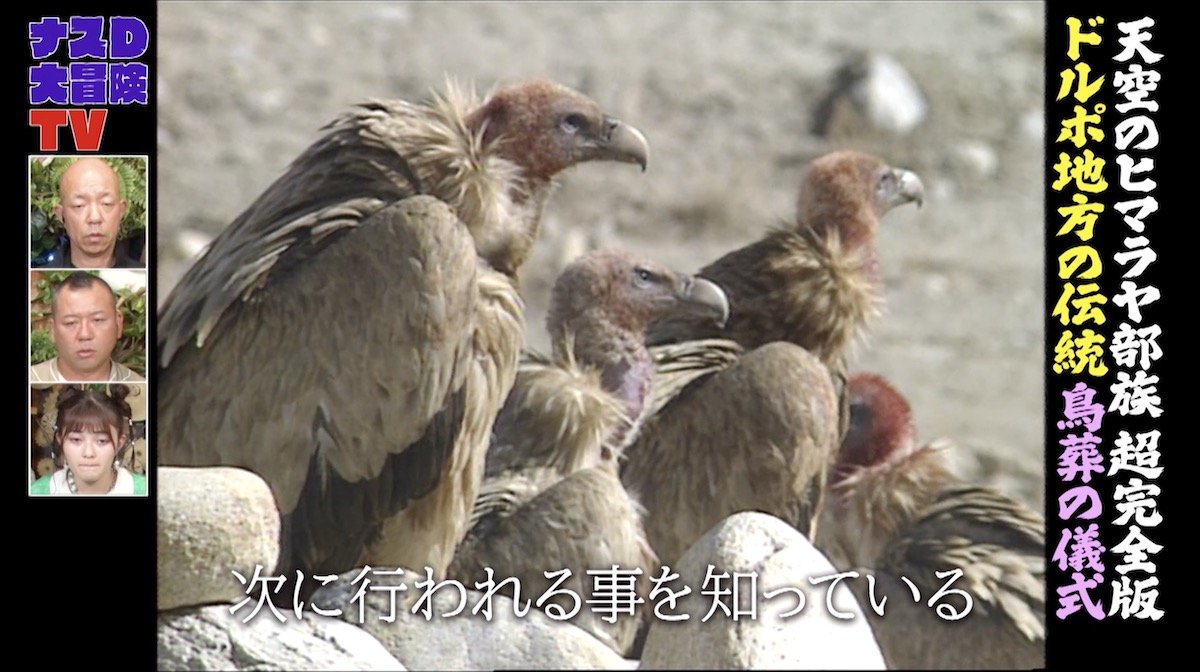 鳥葬はなぜ遺体を捧げるのか？チベット天葬の真実と現在の法的課題