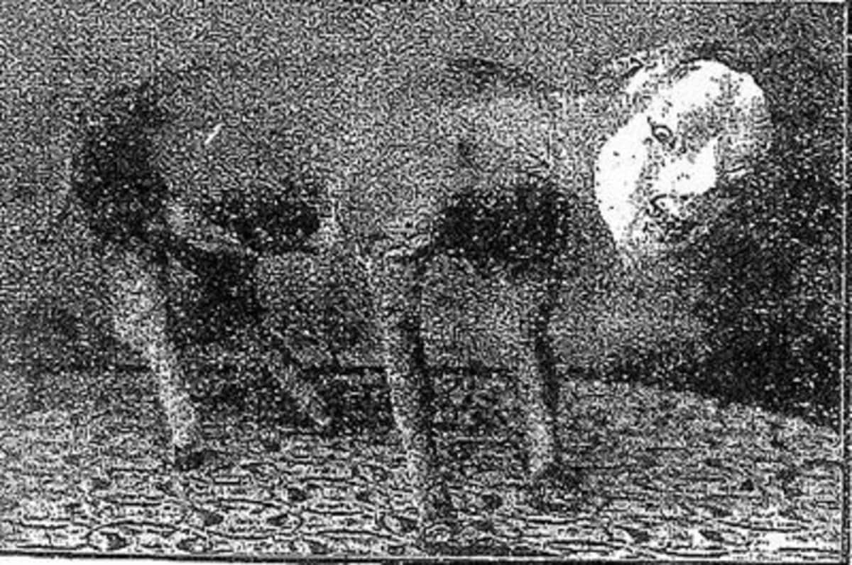 予言獣「件（くだん）」の正体とは？人面牛の歴史と現代の都市伝説を暴く