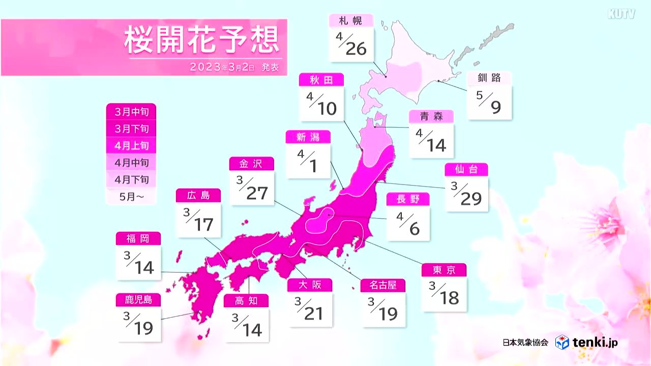 大阪の桜開花予想2026！満開見頃や名所・穴場まで徹底解説