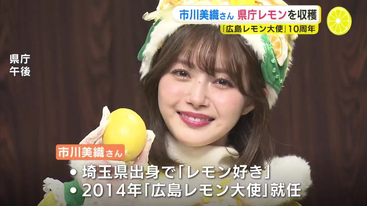 フレッシュレモンになりたいの真相！市川美織の誕生秘話と2026年最新現在