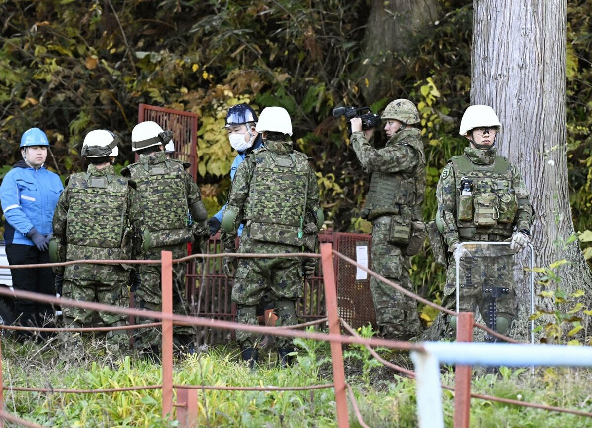 熊被害に自衛隊はなぜ出動できない？法と現場の壁を徹底解説
