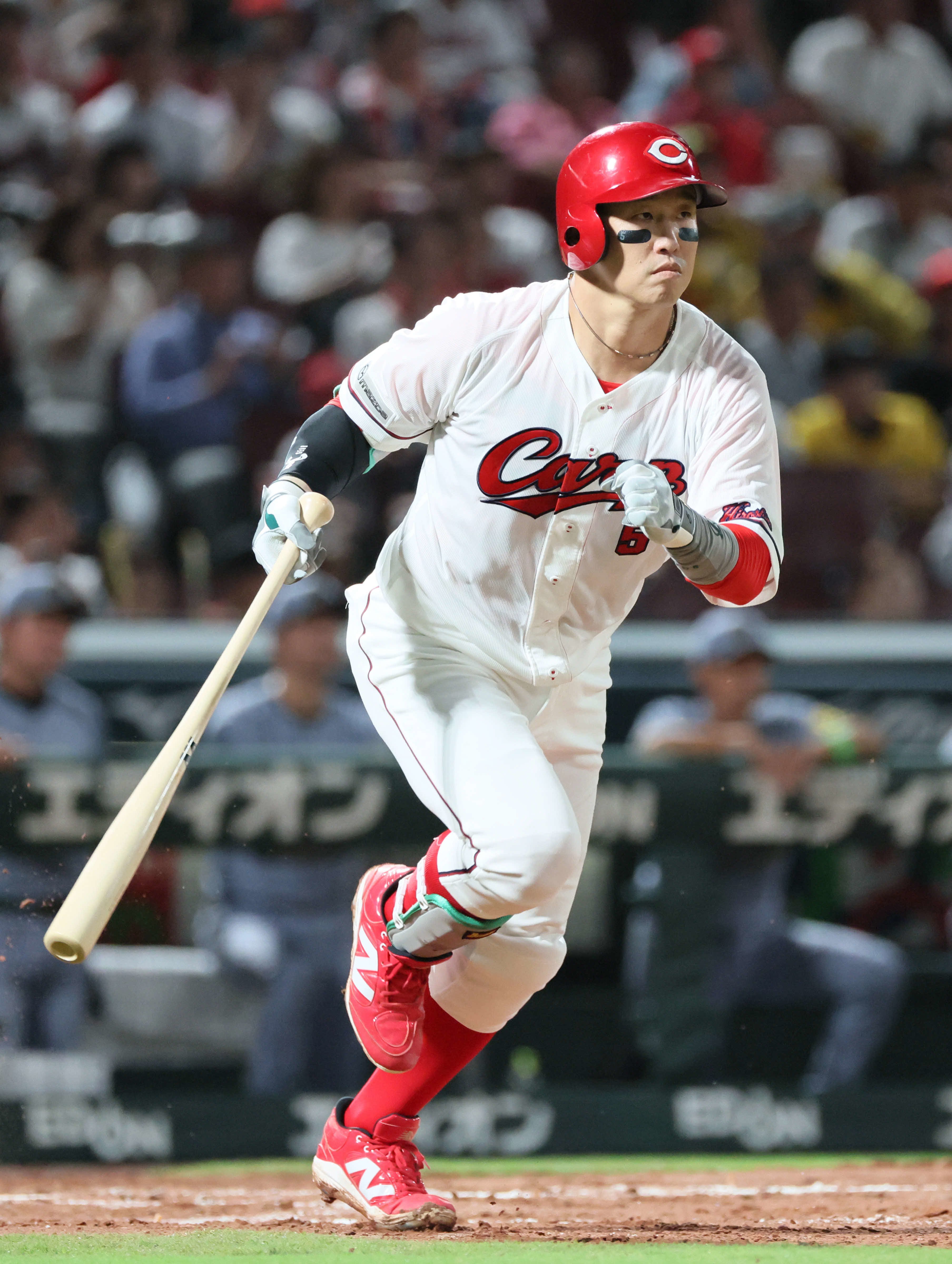 【2026最新】広島カープ速報！激闘の勝因と新井監督の決断を解説