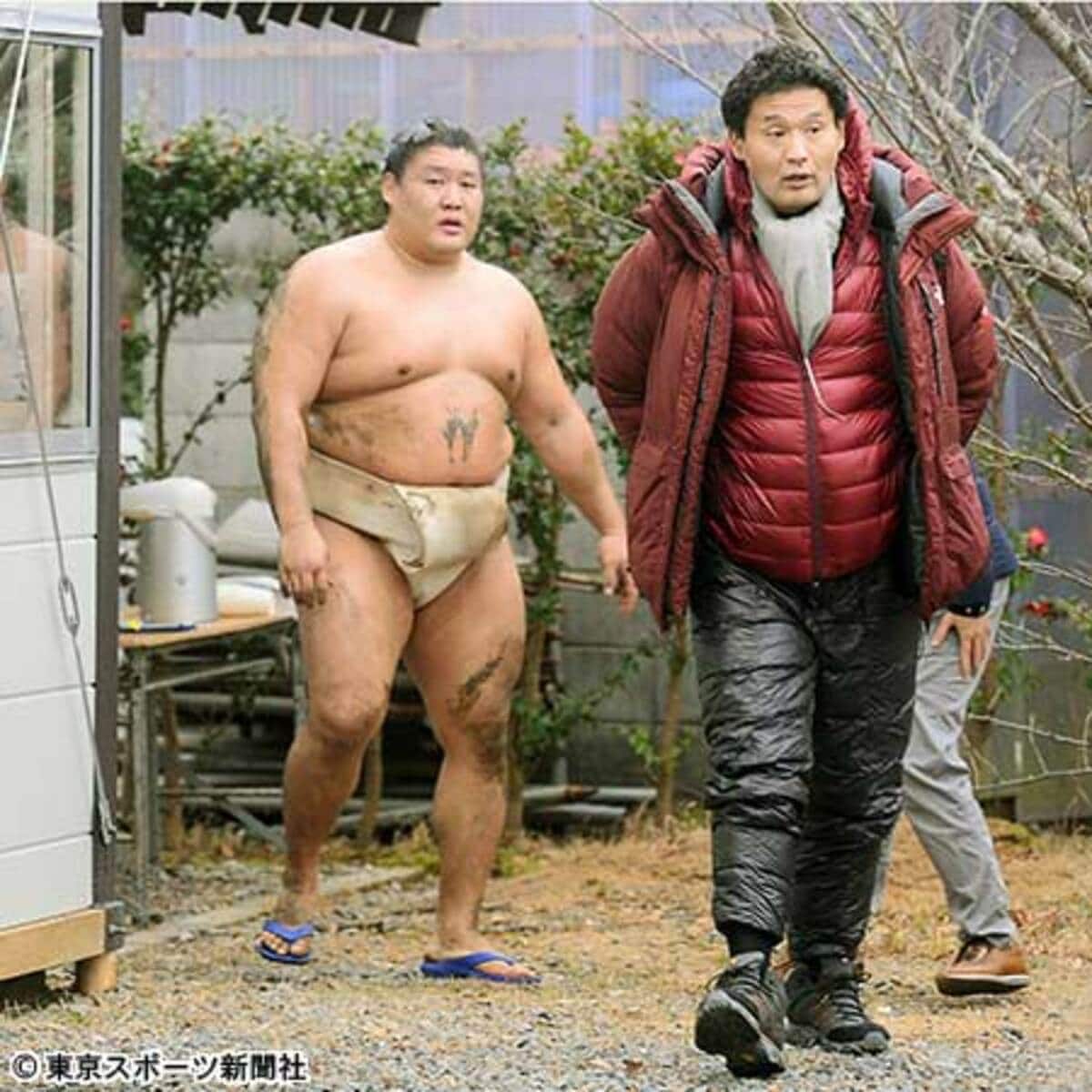 貴ノ岩の現在と電撃引退の深層！日馬富士事件からモンゴルの今へ