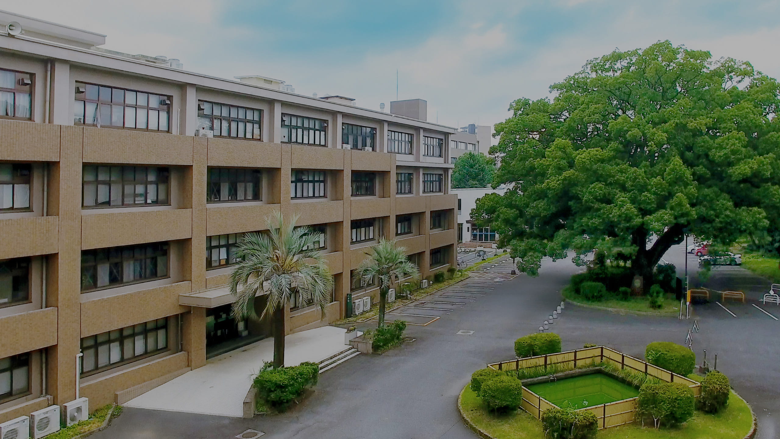 熊本大学薬学部の難易度と評判｜創薬と薬学科の違いや進路の真相