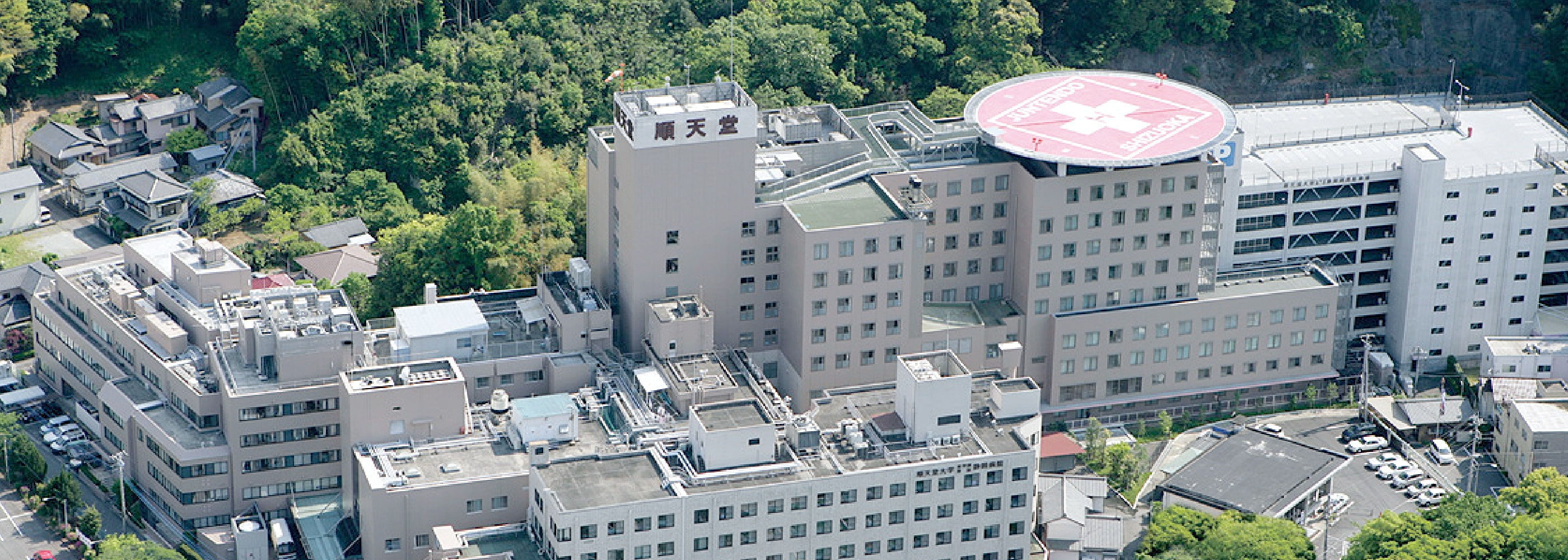 順天堂静岡病院の評判と初診予約ガイド｜救命医療と面会制限の真実