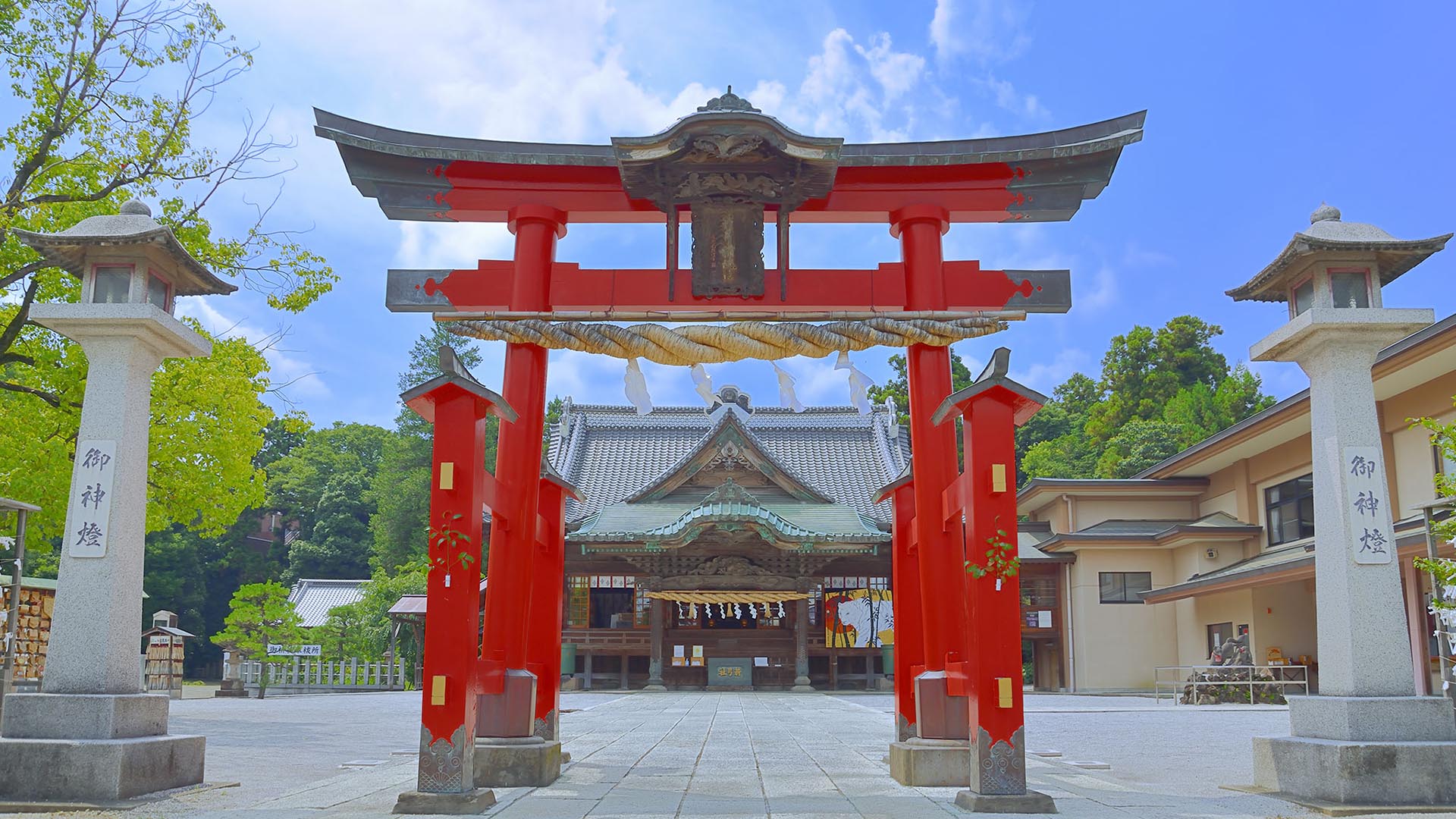 なぜ野球人が集まるのか？箭弓稲荷神社の勝負運と2026年の真実