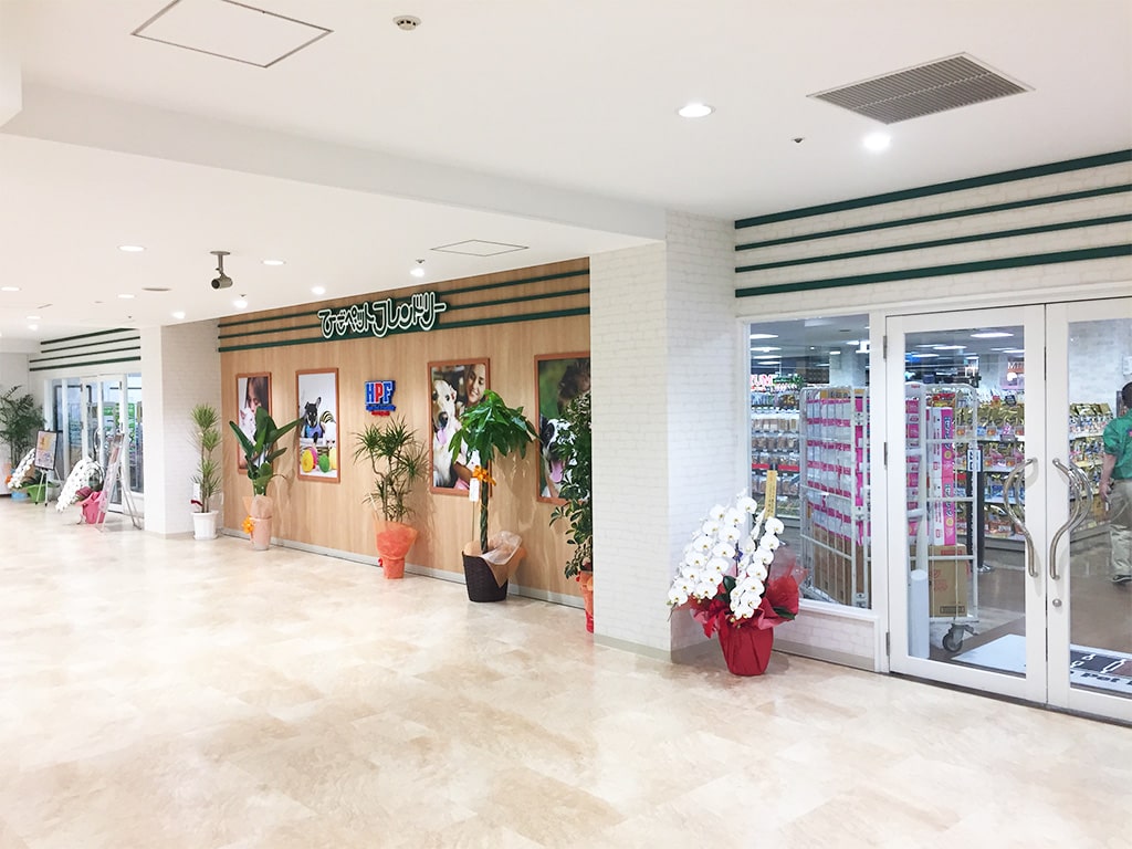 ひごペット堺プラット店の評判と真実！生体相場やホテル実態を徹底検証