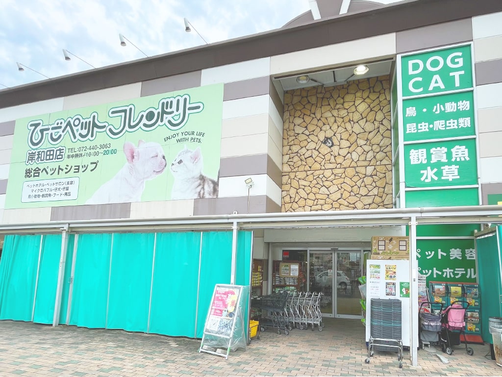 ひごペット岸和田店の口コミ評判とトリミング・生体価格を徹底解説