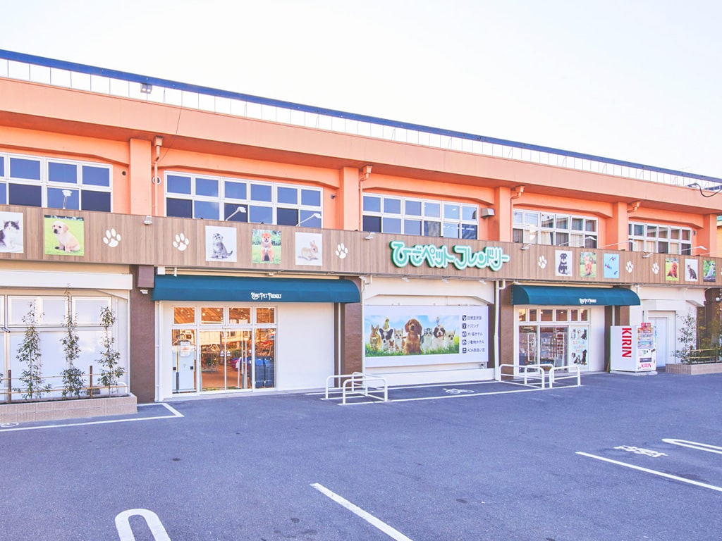 ひごペット京都店の評判と実態！生体から料金・混雑まで徹底解剖