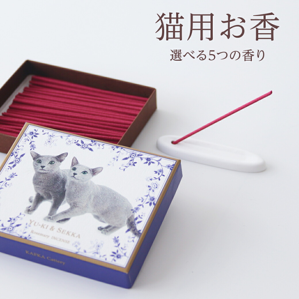 猫とお香は実は超危険？煙と精油の中毒リスクを獣医視点で徹底解剖