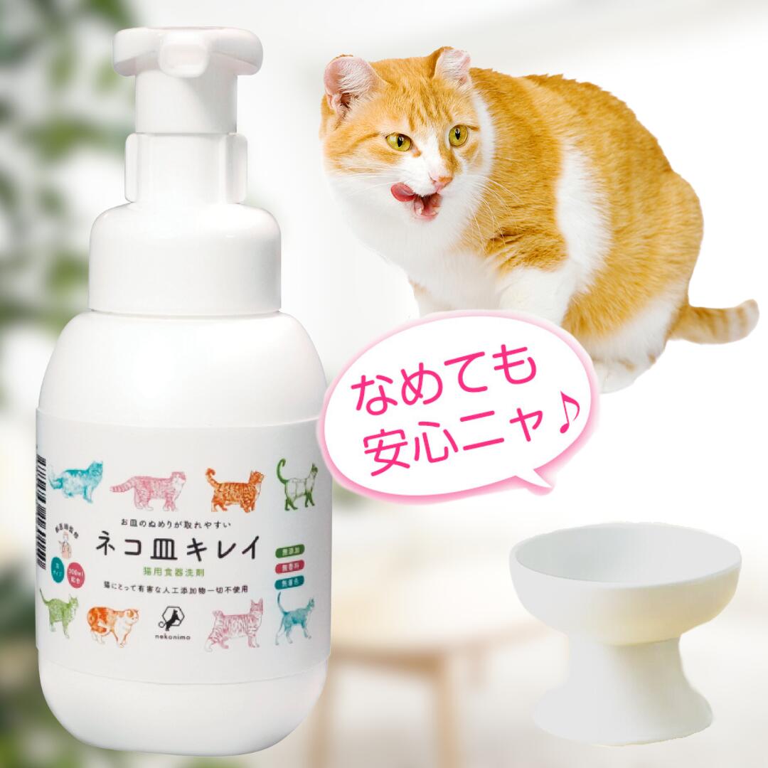 猫の食器用洗剤は本当に必要か？人間用の危険性と頑固なヌメリの真相
