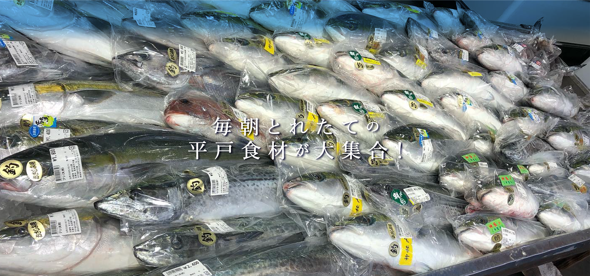平戸瀬戸市場の海鮮丼と平戸牛ランチ！人気の真相と混雑回避を検証