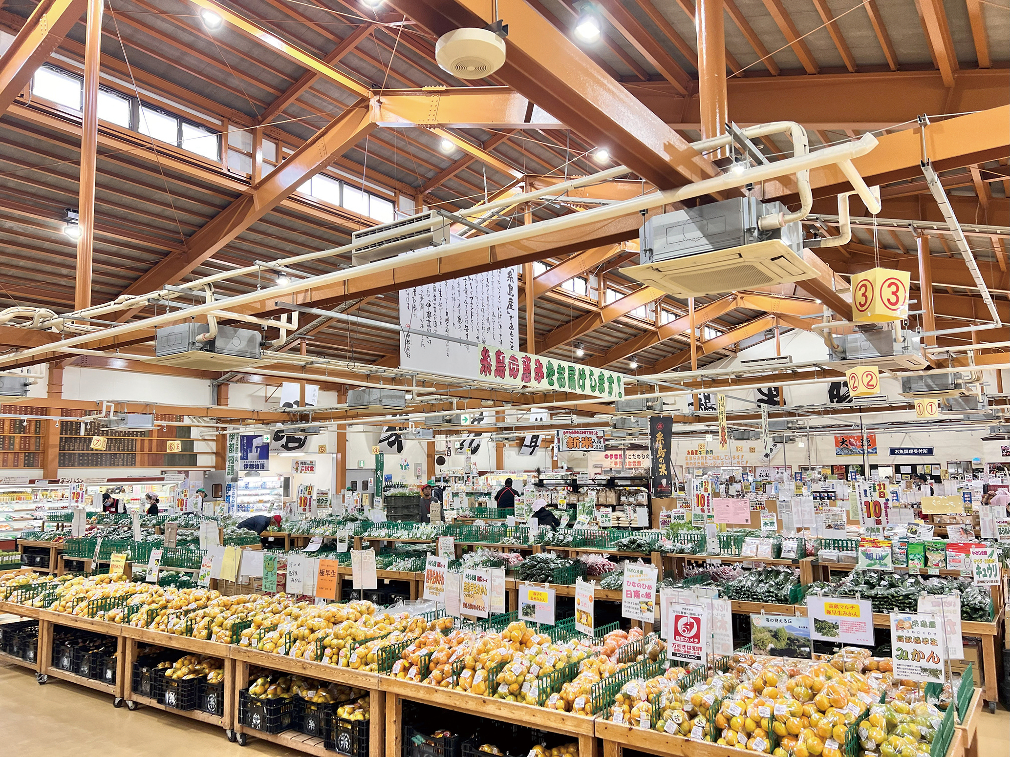 売上日本一の伊都菜彩へ！混雑回避と絶品グルメ攻略ガイド2026
