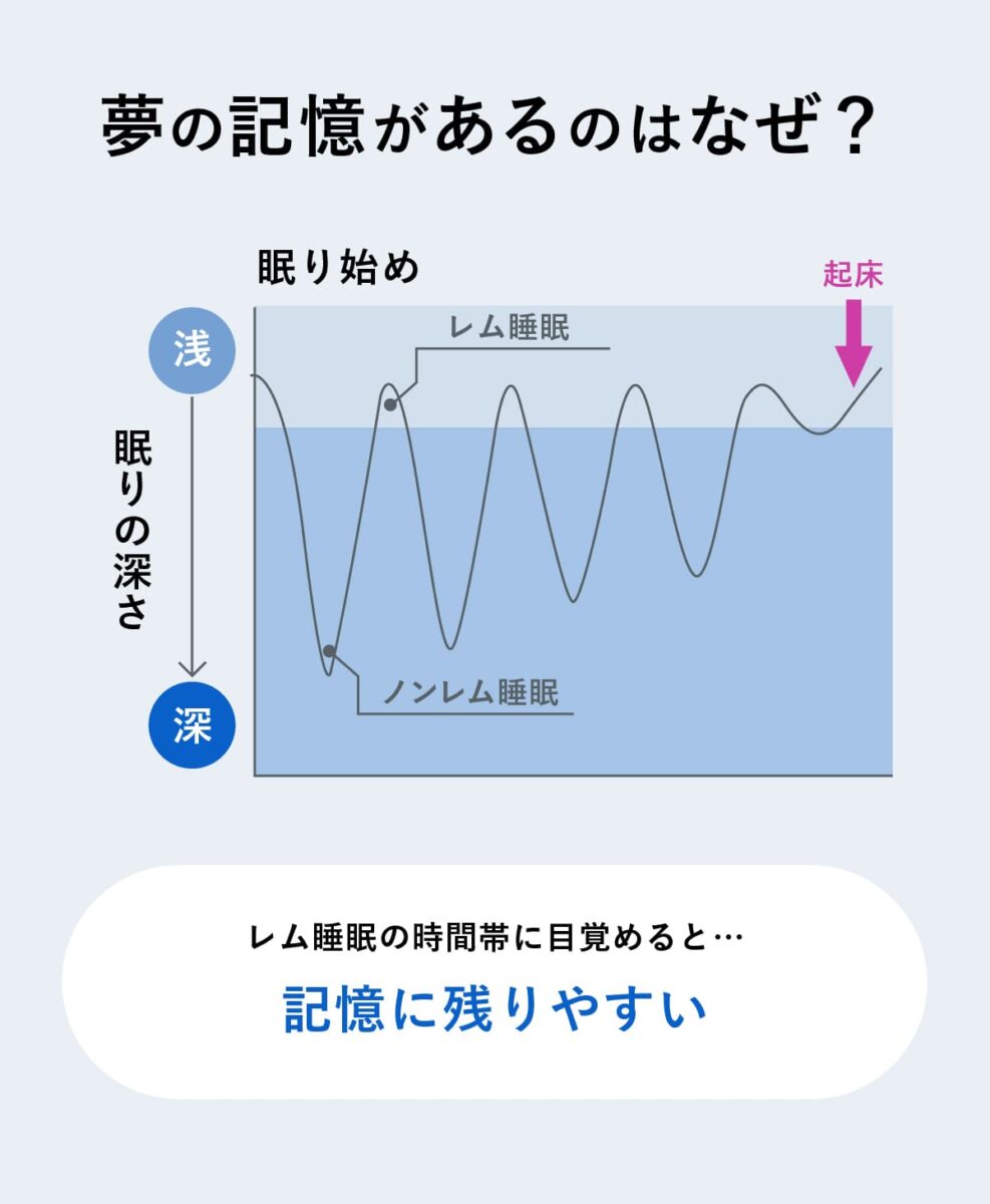 夢を見るのは眠りが浅い？毎晩鮮明な夢を見る理由と睡眠の質を徹底解明