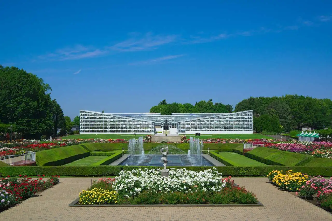 神代植物公園の開花状況とバラ見頃2026！混雑回避と深大寺巡り攻略