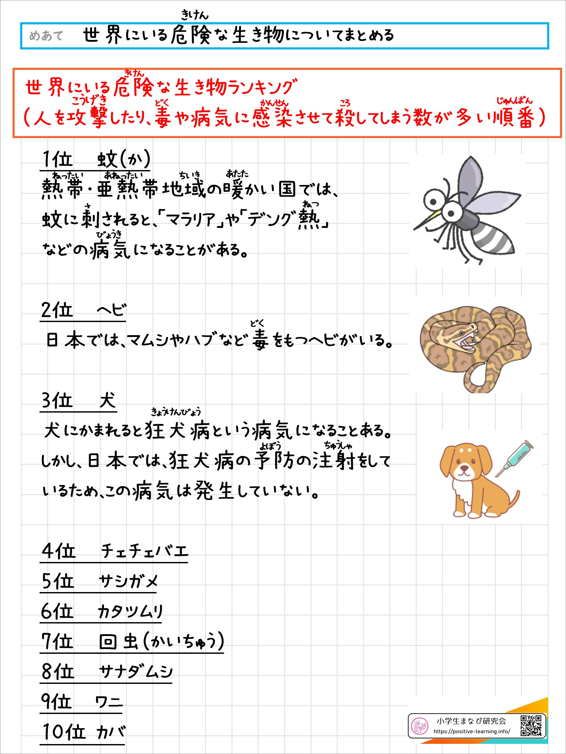 小5の自主学習ネタ決定版！10分完成から高評価テーマまで全網羅