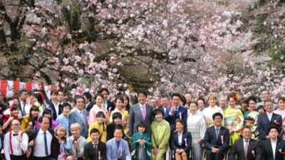 【Wiki風】 桜 を 見る 会 最新画像・動画まとめ #670
