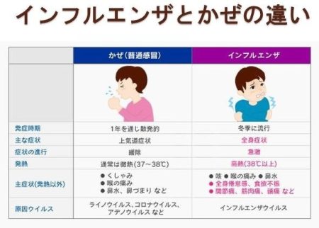【画像あり】 インフルエンザ に ならない 人 経歴＆学歴まとめ 2026 #708