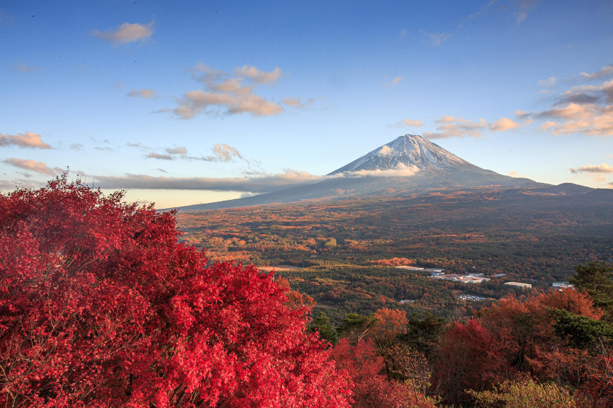 鳴沢村の観光と暮らしのリアル｜絶景温泉から氷穴・別荘地まで徹底検証