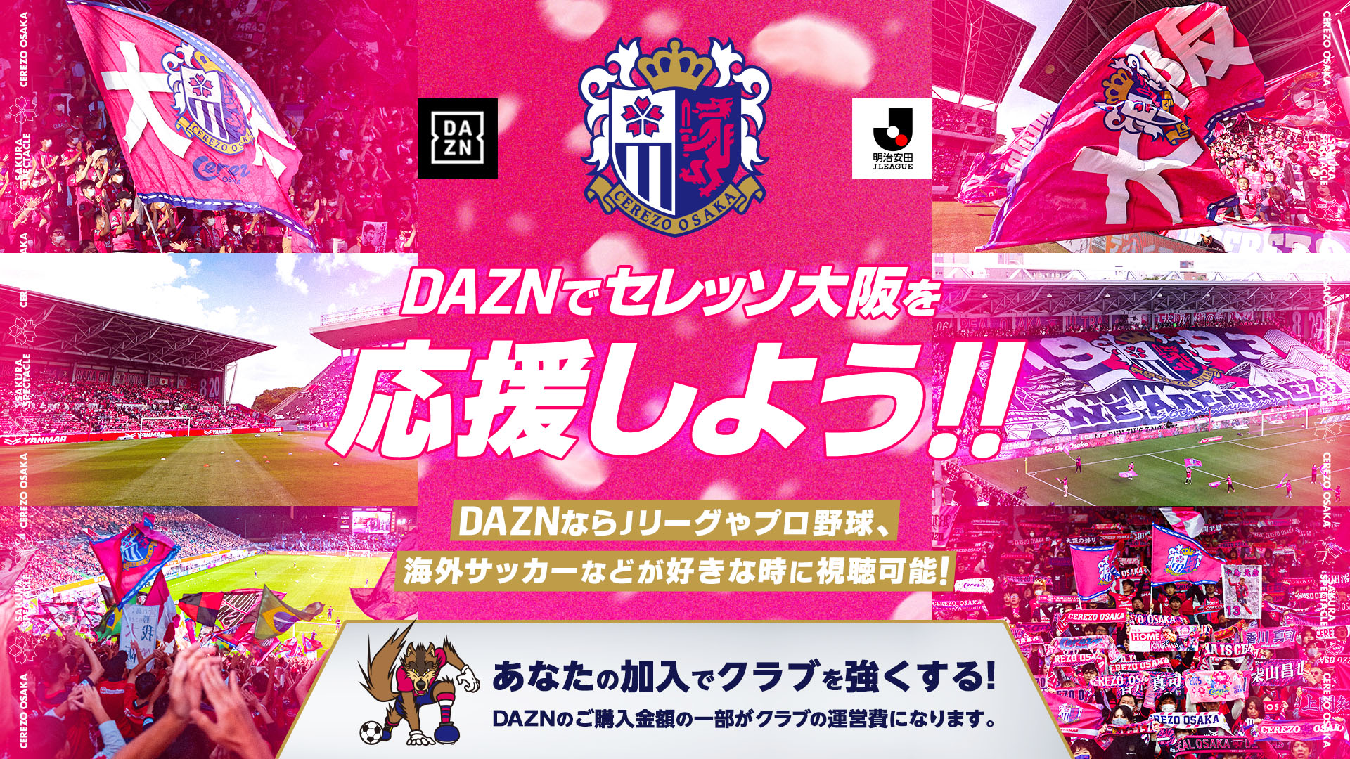 熱狂と本音が交差する聖地——2026年シーズン、セレッソ大阪ファンコミュニティの進化と「掲示板」が果たす隠れた役割