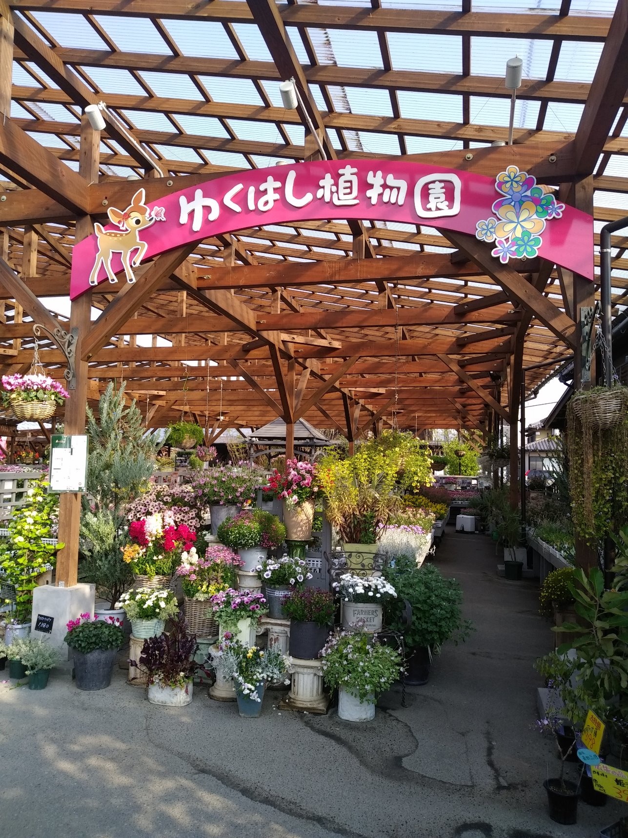 植物ファンを虜にするゆくはし植物園！カフェと名品が彩る聖地の全貌
