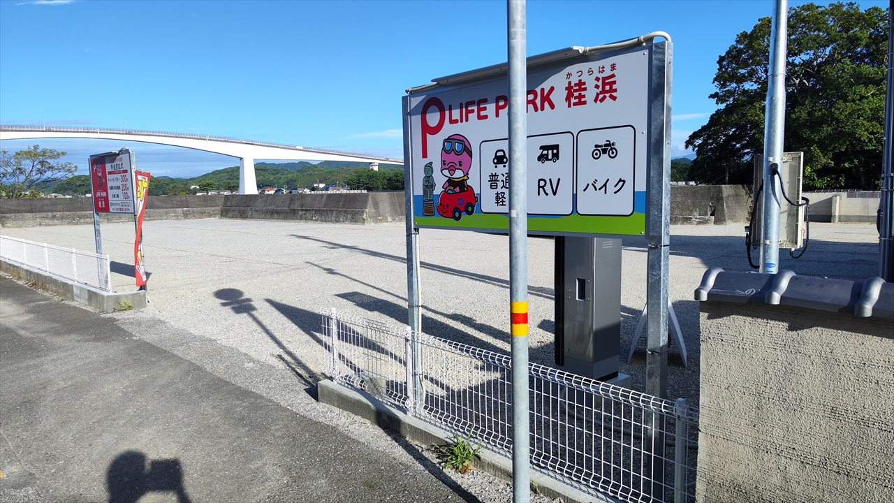 桂浜園地駐車場の満車対策2026！彼岸花見頃の混雑回避と利用ガイド