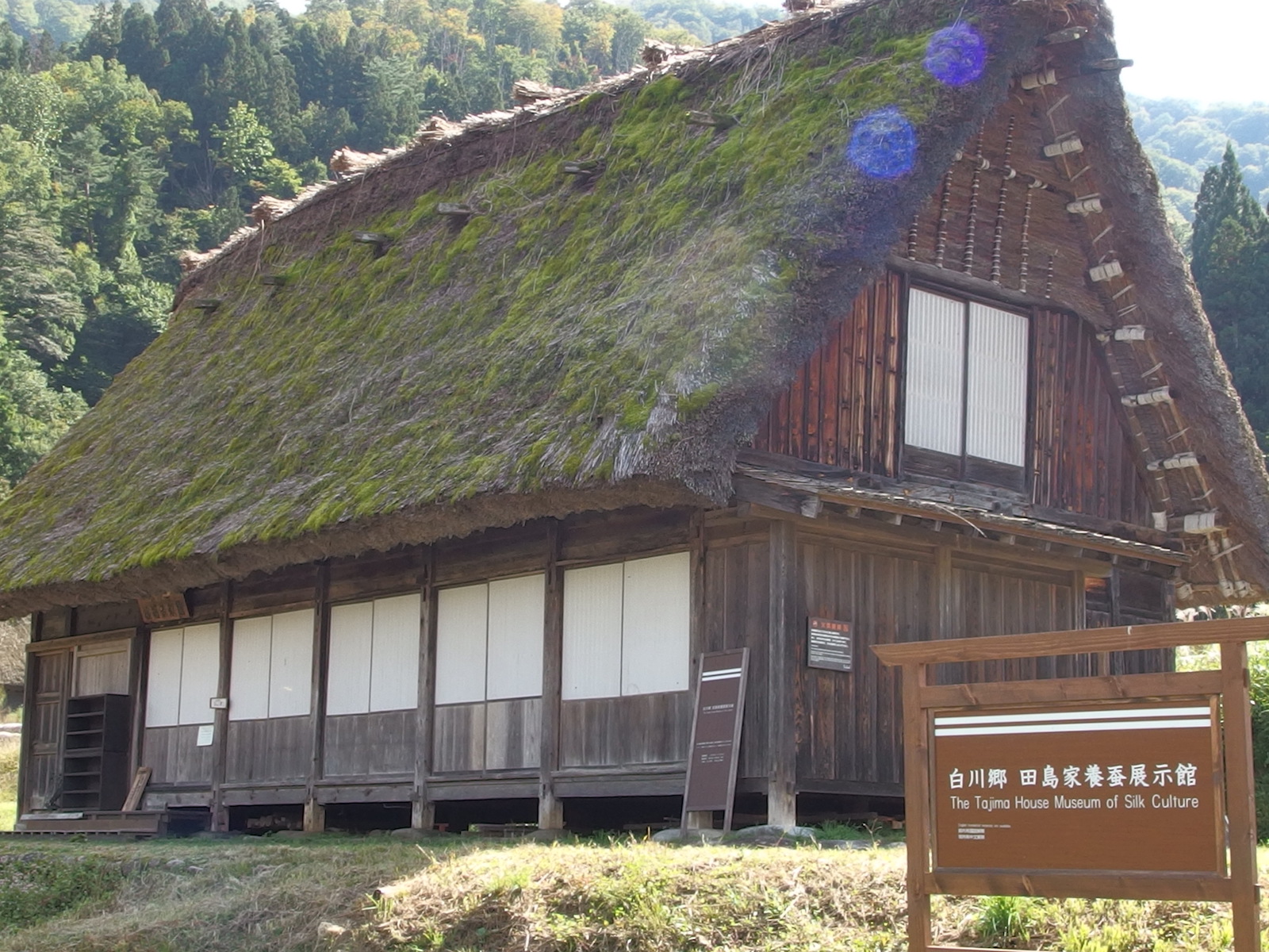 世界遺産を支えた田島家養蚕展示館の全貌！近代化の秘密と見どころ解説