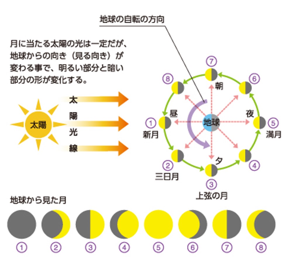 月の自転周期は約27.3日！公転と一致する潮汐固定の真相