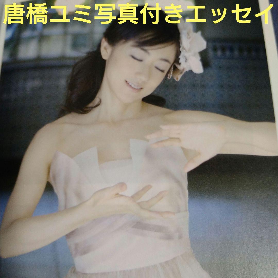 唐橋ユミ写真集の噂を追う！グラビアの真相と2026年最新の現在