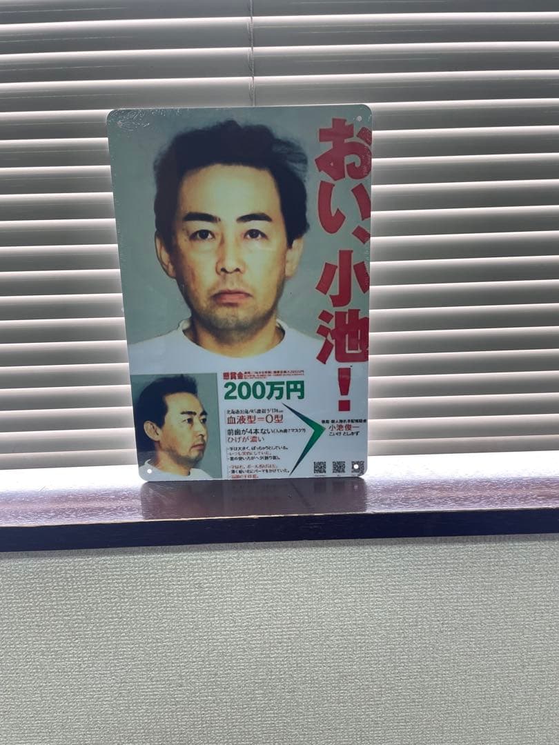 おいこいけが話題沸騰中の理由｜2026年最新の真相と現在を徹底まとめ