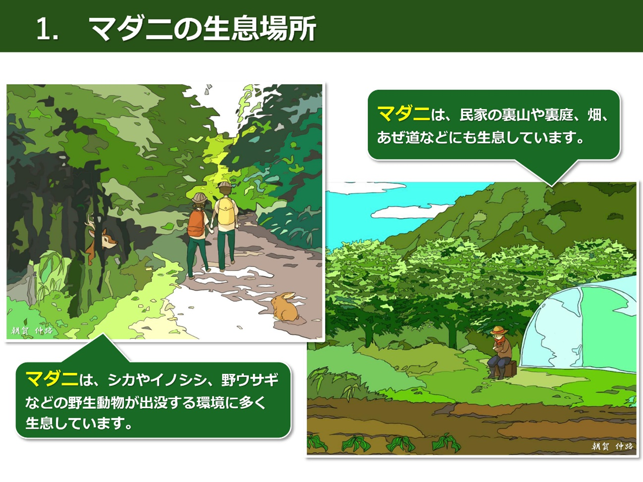 マダニはどこにいる？実は庭や公園にも！潜伏場所と命を守る最新防護策